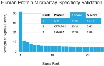 Analysis of HuProt(TM) microarray containing more than 19,000 full-length human proteins using Beta Amyloid antibody (clone APP/3343). These results demonstrate the foremost specificity of the APP/3343 mAb. Z- and S- score: The Z-score represents the strength of a signal that an antibody (in combination with a fluorescently-tagged anti-IgG secondary Ab) produces when binding to a particular protein on the HuProt(TM) array. Z-scores are described in units of standard deviations (SD's) above the mean value of all signals generated on that array. If the targets on the HuProt(TM) are arranged in descending order of the Z-score, the S-score is the difference (also in units of SD's) between the Z-scores. The S-score therefore represents the relative target specificity of an Ab to its intended target.