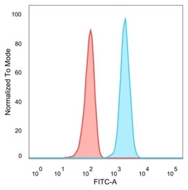 FACS staining of PFA-fixed human HeLa cells with STAT5A antibody (blue, clone PCRP-STAT5A-1A11) and isotype control (red).