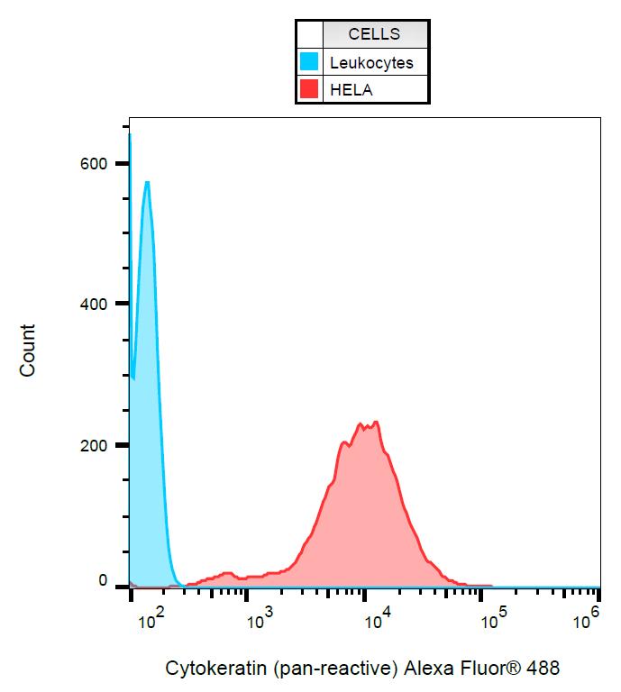 Anti-Cytokeratins Antibody (Alexa Fluor&#174; 488)