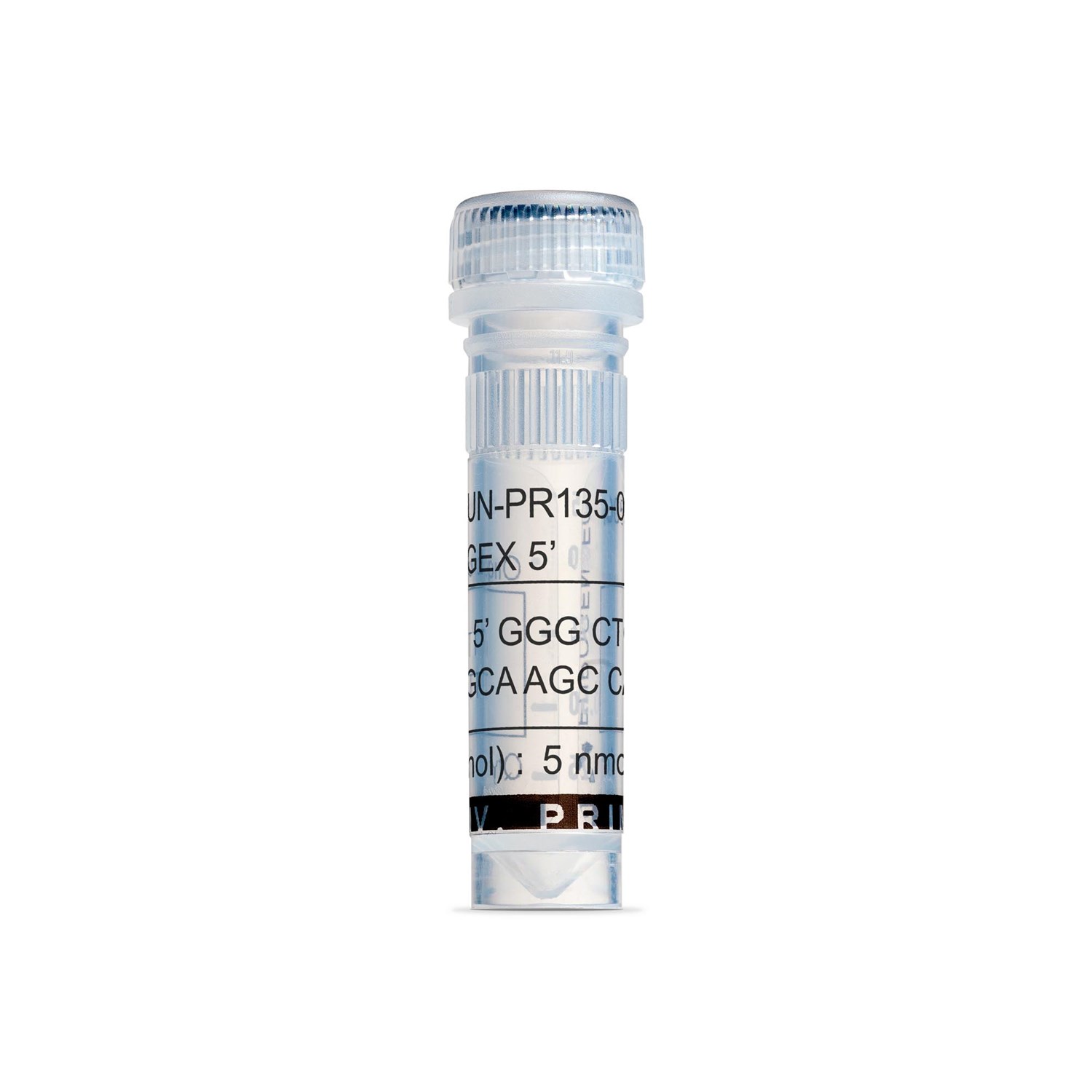 pGEX 5' - 5 nmol