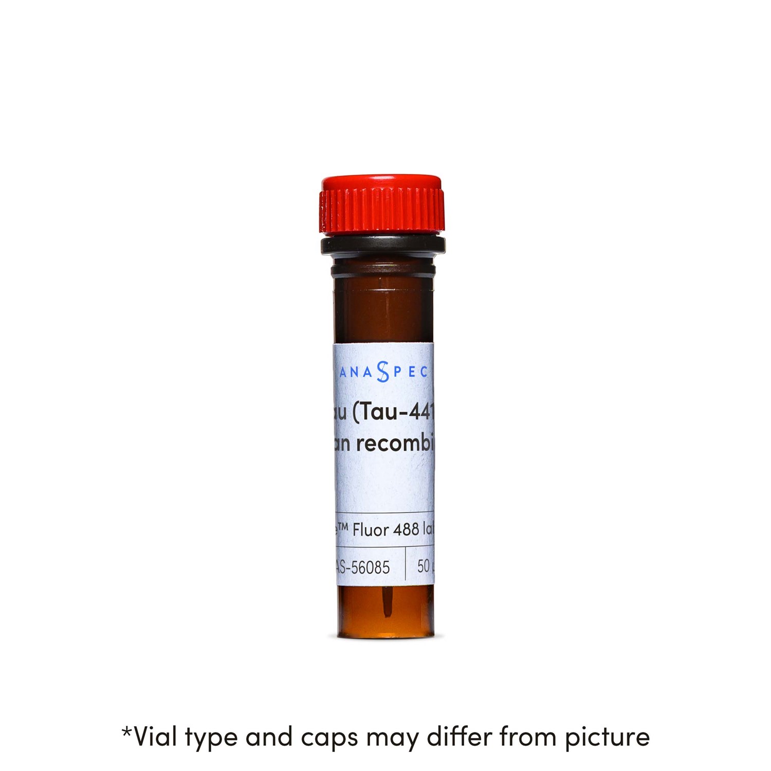 Tau (Tau-441), human recombinant, HiLyte™ Fluor 488 labeled - 50 ug