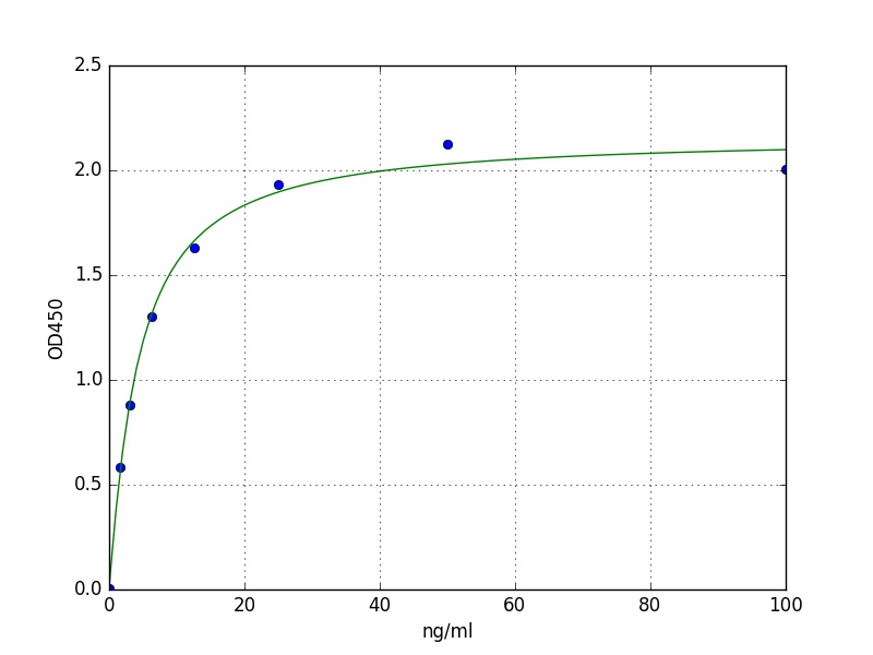 Human PTK2 ELISA Kit