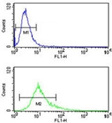 S100A10 antibody flow cytometry analysis of NCI-H460 cells (green) compared to a <a href=../search_result.php?search_txt=n1001>negative control</a> (blue). FITC-conjugated goat-anti-rabbit secondary Ab was used for the analysis.