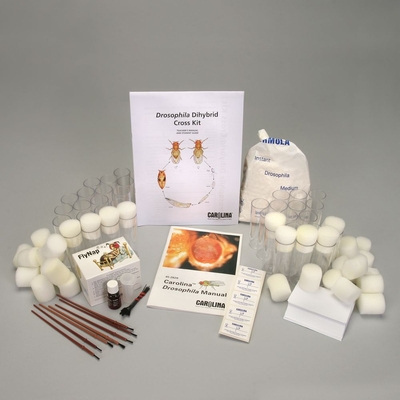 Drosophila Dihybrid Cross Kit (with Perishables)