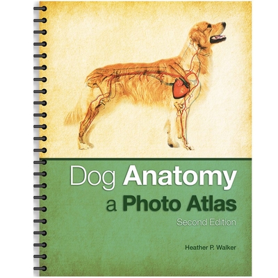 Dog Anatomy: A Photo Atlas