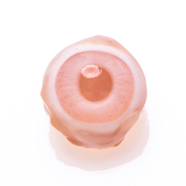 Rabbit Eye Whole Mature