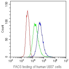 Flow cytometry testing of human U937 cells with CD41 antibody at 1ug/10^6 cells. CD41 antibody (blue), isotype control (green), cells alone (red).